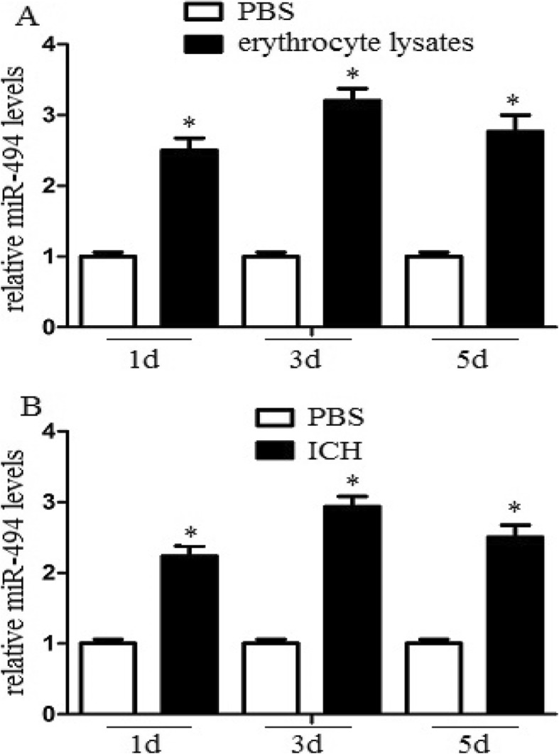 MiRNA-494 enhances M1 macrophage polarization via Nrdp1 in ICH mice model.